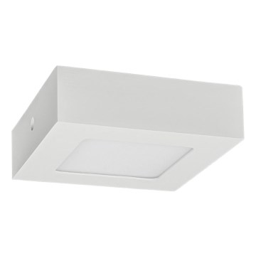 LED Плафониера FENIX LED/6W/230V 2800K 12 см