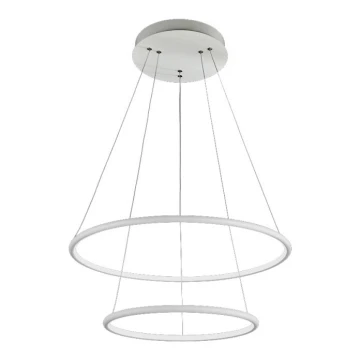 LED Полилей висящ на кабел ORION LED/53W/230V