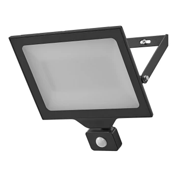 Ledvance - LED Екстериорен прожектор за стена с сензор FLOODLIGHT ESSENTIAL LED/100W/230V IP65