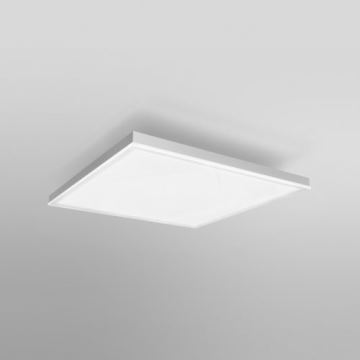 Ledvance - LED Панел за повърхностен монтаж FRAMELESS LED/19W/230V 3000K