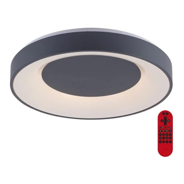 Leuchten Direkt 14346-18 -LED RGB Димируема лампа ANIKA LED/26,5W/230V Tuya 2700-5000K + дистанционно