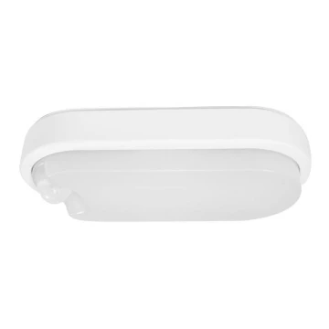 Müller-Licht - LED Екстериорна лампа със сензор IPSUM LED/8W/230V IP54