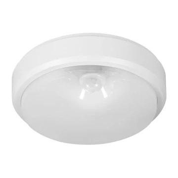 Müller-Licht - LED Екстериорна лампа със сензор PICTOR LED/8W/230V IP54