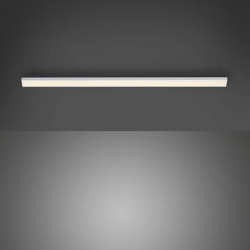 Paul Neuhaus 1125-21-A - LED Разширение under кухня cabinet лампа AMON LED/6W/12/230V