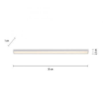 Paul Neuhaus 1125-21-A - LED Разширение under кухня cabinet лампа AMON LED/6W/12/230V