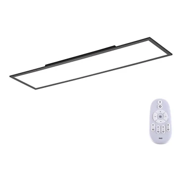 Paul Neuhaus 16533-16-O - LED Димируем повърхностен панел FLAT LED/24W/230V 2700-5000K черен + дистанционно