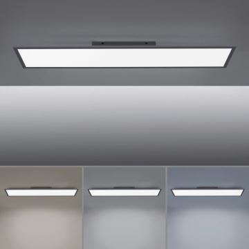 Paul Neuhaus 16533-16-O - LED Димируем повърхностен панел FLAT LED/24W/230V 2700-5000K черен + дистанционно