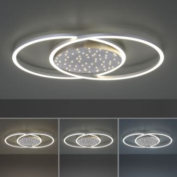 Paul Neuhaus 6025-55 - LED Димируем плафон YUKI LED/48W/230V + дистанционно