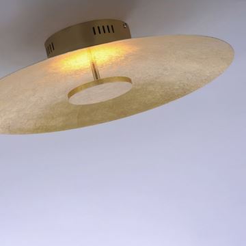 Paul Neuhaus 8132-12 - LED Димируема лампа PLATE LED/25W/230V