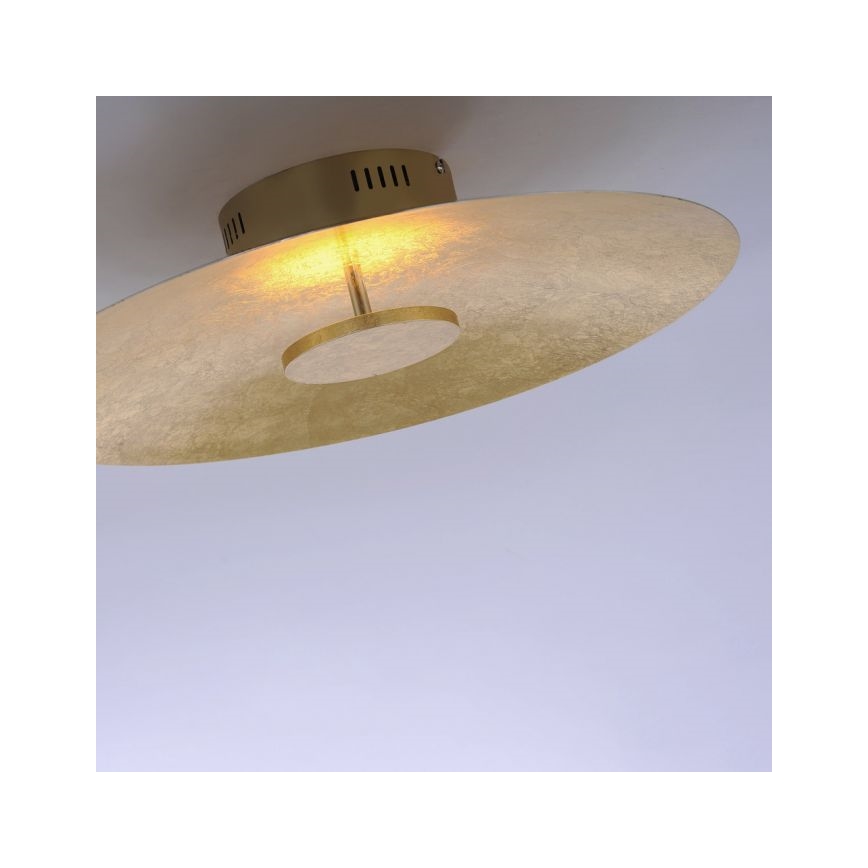 Paul Neuhaus 8132-12 - LED Димируема лампа PLATE LED/25W/230V