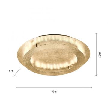 Paul Neuhaus 9621-12 - LED Лампа NEVIS LED/24W/230V