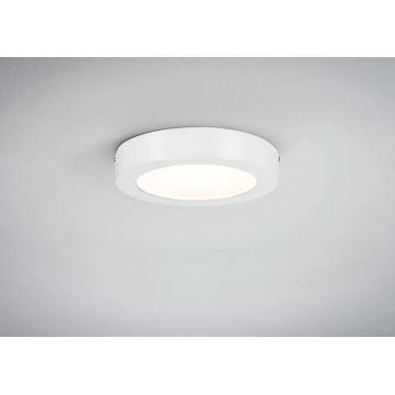 Paulmann 70641 - LED/11W Плафон LUNAR 230V Ø 17 см бял