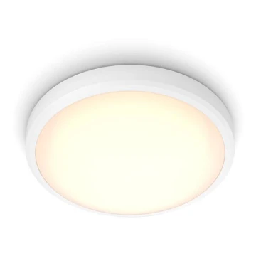 Philips - LED Лампа за баня BALANCE LED/17W/230V IP44