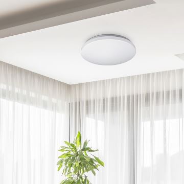 Rabalux - LED Лампа за таван 1xLED/32W/230V