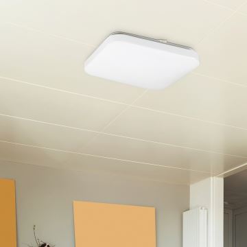 Rabalux - LED Лампа за таван 1xLED/20W/230V
