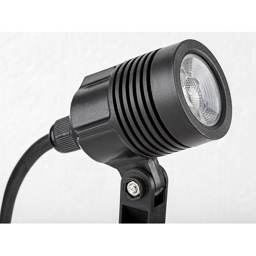 Rabalux - LED Екстериорна лампа LED/3W/230V IP65