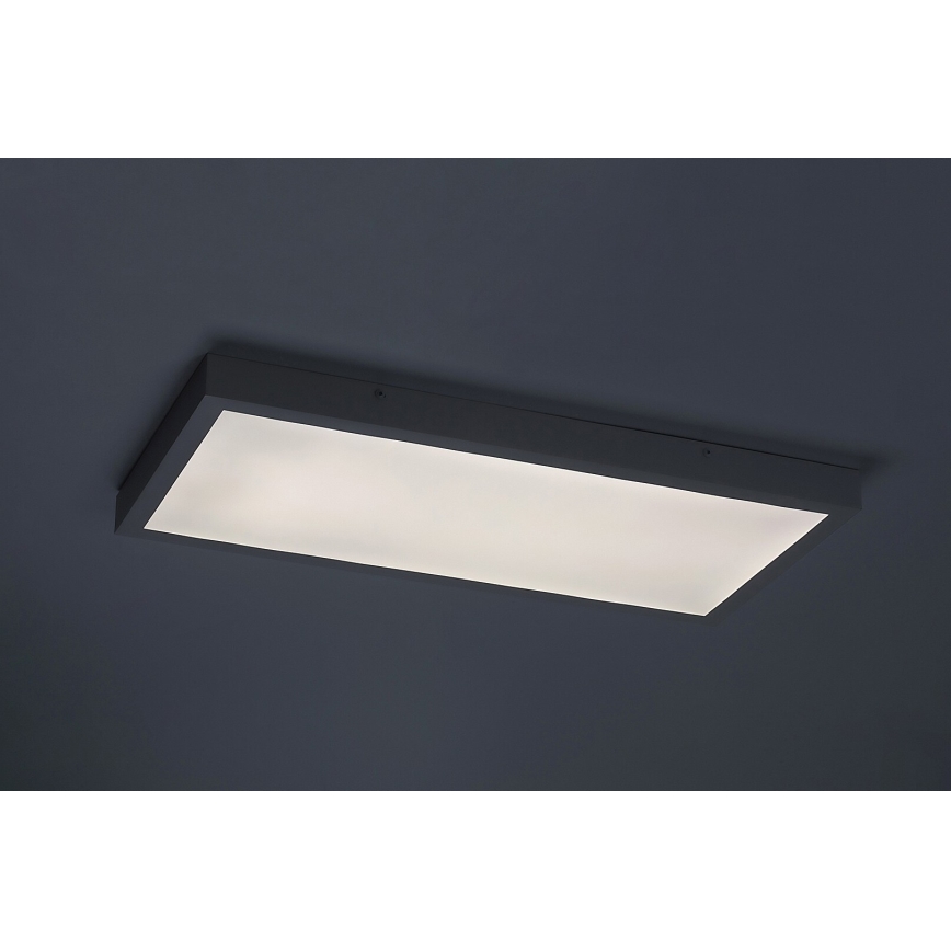 Rabalux - LED Панел за повърхностен монтаж LED/24W/230V 4000K 60x30 см