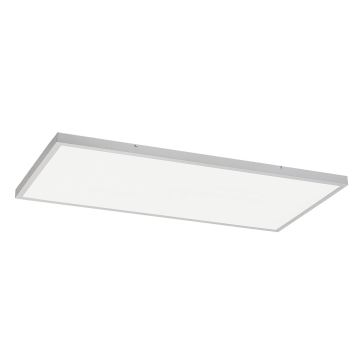 Rabalux - LED Панел за повърхностен монтаж LED/80W/230V 4000K 120x60 см