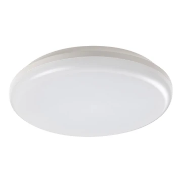 Rabalux - LED Екстериорна Лампа за таван LED/24W/230V IP64