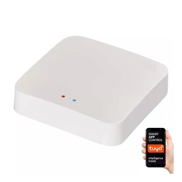 Смарт портал GoSmart ZigBee 3.0 5V Wi-Fi