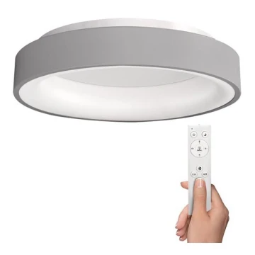 Solight WO768-G - LED таванна светлина TREVISO LED / 48W / 230V + ДУ