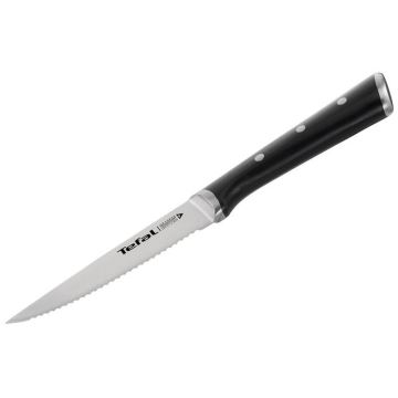 Tefal - Нож за пържоли от неръждаема стомана ICE FORCE 11 см хром/черен