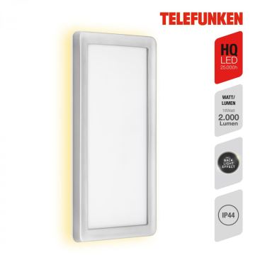 Telefunken 313604TF - LED Екстериорен аплик LED/16W/230V IP44 сребрист