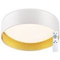 Top Light - LED димируема лампа за таван IVONA 40B RC LED/24W/230V + дистанционно управление бял