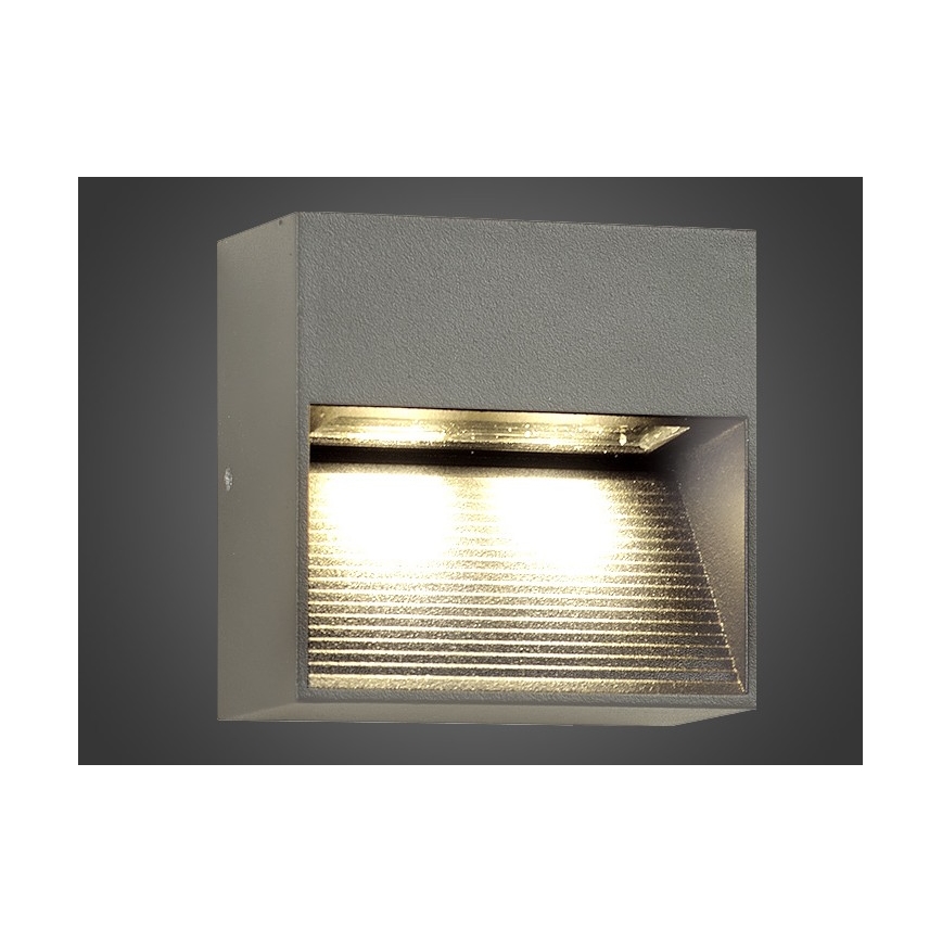 Външна LED лампа за стена NINION LED/2W/230V IP54