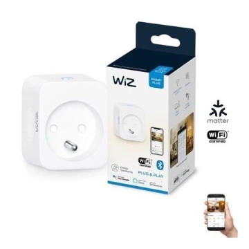 WiZ - Смарт контакт E 2300W + електромер Wi-Fi